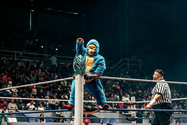 Le rôle de l'entraîneur dans un club de basket